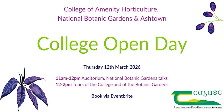 2026 College Open Day